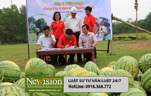 Big C Việt Nam chung tay vì dưa hấu Quảng Ngãi